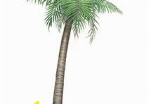Palm Tree Mural Decal H3 Palm Tree Wall Decal Sticker 42 In X 90 In H3