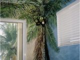 Palm Tree Murals Walls Palm Tree Mural Artwork by Louise Moorman