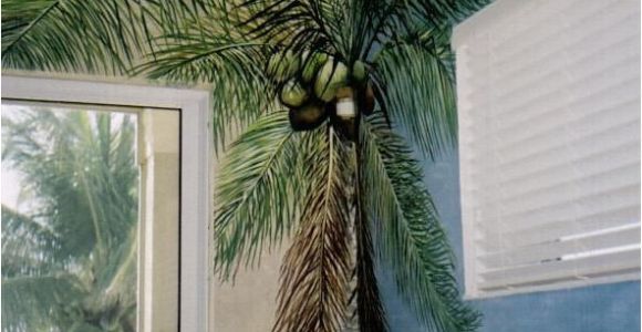 Palm Tree Murals Walls Palm Tree Mural Artwork by Louise Moorman