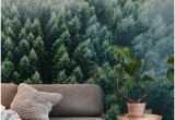 Panoramic Wallpaper Murals 233 Best forest Wall Murals Images In 2019