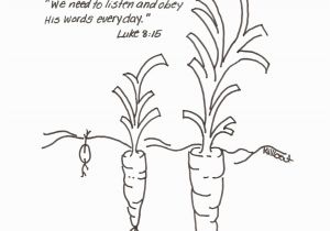 Parable Of the sower Bible Coloring Pages Bible Key Point Coloring Page