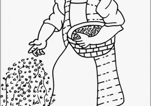 Parable Of the sower Bible Coloring Pages Parable the sower Coloring Page Coloring Home