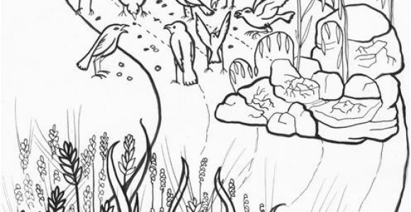 Parable Of the sower Bible Coloring Pages the Parable Of the sower Coloring Page