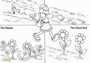 Parable Of the sower Coloring Page Parable Of sower Coloring Page From Matthew Chapter 13
