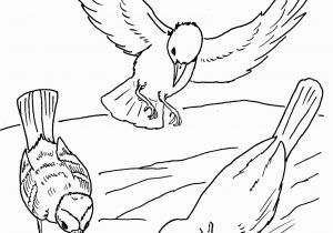 Parable Of the sower Coloring Page Parable Of the sower Coloring Page Coloring Pages for Kids