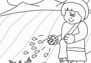 Parable Of the sower Coloring Page Parable Of the sower Coloring Page Google Search