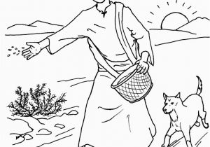 Parable Of the sower Coloring Page Parable Of the sower Coloring Pages