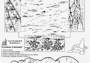 Parable Of the sower Coloring Page Parábola Del Sembrador