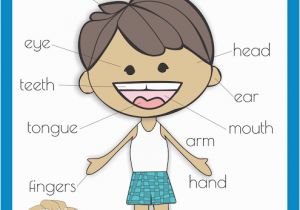 Parts Of the Body Coloring Pages for Preschool Free Body Parts Poster Km Classroom Pinterest