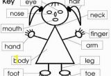 Parts Of the Body Coloring Pages for Preschool Parts Of the Body and Face Posters and Worksheets