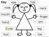 Parts Of the Body Coloring Pages for Preschool Parts Of the Body and Face Posters and Worksheets