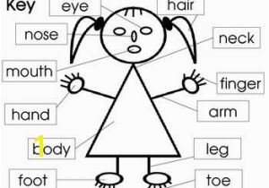 Parts Of the Body Coloring Pages for Preschool Parts Of the Body and Face Posters and Worksheets