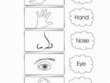 Parts Of the Body Coloring Pages for Preschool Pin by Jennifer Varela Ybarra On Printables Pinterest