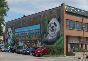 Party City Wall Murals Chinatown Ottawa Aktuelle 2020 Lohnt Es Sich Mit Fotos