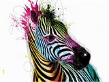 Patrice Murciano Wall Mural Patrice Murciano Zebra Fototapeta Tapeta Na ZeÄ Na Posters