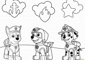 Paw Patrol Coloring Pages All Pups Paw Patrol Malen Malvorlagen Gratis