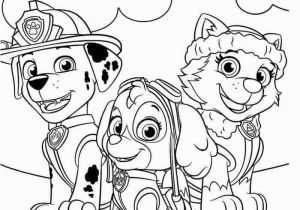 Paw Patrol Coloring Pages Printable Paw Patrol Coloring Pages to Print In 2020 with Images