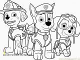 Paw Patrol Printable Coloring Pages Free Printable Coloring Pages Paw Patrol – Pusat Hobi