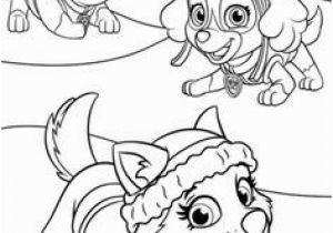 Paw Patrol Skye and Everest Coloring Pages 35 Best Paw Patrol Images On Pinterest