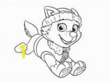 Paw Patrol Skye and Everest Coloring Pages 645 Best Paw Patrol Images