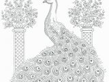 Peacock Feather Coloring Page Peacock to Print Peacock Feather Coloring Page New Coloring