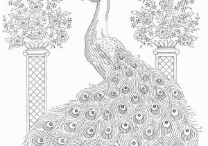Peacock Feather Coloring Page Peacock to Print Peacock Feather Coloring Page New Coloring