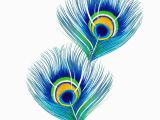 Peacock Feather Wall Mural Peacock Feathers In 2020