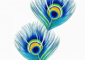 Peacock Feather Wall Mural Peacock Feathers In 2020