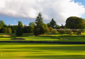 Pebble Beach Golf Wall Mural Ljestve Teme Golfart Na Twitteru