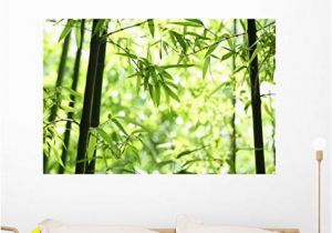 Peel N Stick Wall Murals Amazon Wallmonkeys Bamboo Wall Mural Peel and Stick