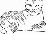 Peg and Cat Coloring Pages Cat Coloring Pages Games Cat Drawing Games at Getdrawings Free