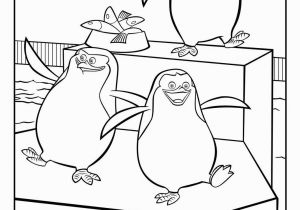 Penguin Coloring Pages Pdf Penguins Madagascar Coloring Pages Downloads and Sketches