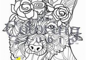 Perch Coloring Pages 103 Best Posh Coloring Pages Images On Pinterest