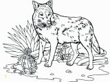 Peter and the Wolf Coloring Page Peter and the Wolf Coloring Pages Free Wolf Coloring Pages Peter and