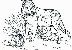 Peter and the Wolf Coloring Page Peter and the Wolf Coloring Pages Free Wolf Coloring Pages Peter and