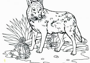 Peter and the Wolf Coloring Page Peter and the Wolf Coloring Pages Free Wolf Coloring Pages Peter and