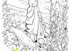 Peter Cottontail Printable Coloring Pages Die 346 Besten Bilder Zu Bunny Rabbit Coloring