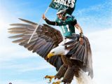 Philadelphia Eagles Wall Mural Eagles Landing