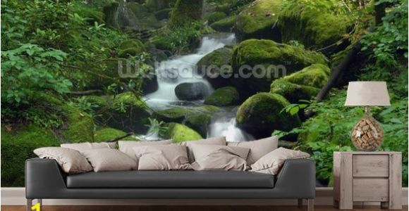 Photo Wall Mural forest Mossy Waterfall In 2019