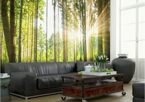 Photo Wall Mural forest Wall Mural forest Creates A Stylish Ambience In the