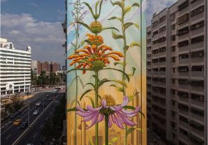 Pictures Of Murals On Buildings Weeds Mona Caron Beautiful Blooming Series Of Artivist Plant