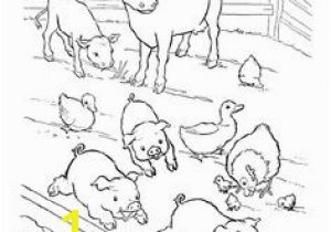 Pig On A Farm Coloring Page 128 Best Coloring Farm Animals Images