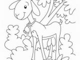 Pig On A Farm Coloring Page Farm Animal Coloring Pages Best Barn Coloring Pages Farm Animal