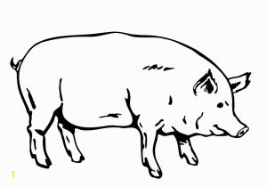 Pig Printable Coloring Pages Free Printable Pig Coloring Pages for Kids