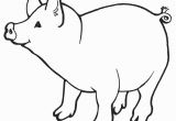 Pig Printable Coloring Pages Free Printable Pig Coloring Pages for Kids