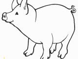 Pig Printable Coloring Pages Free Printable Pig Coloring Pages for Kids