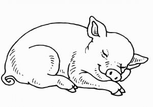 Pig Printable Coloring Pages Sleeping Baby Pig Coloring Page