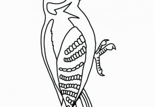 Pileated Woodpecker Coloring Page Pileated Woodpecker Coloring Page Awesome Woodpecker Coloring Page