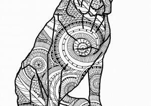 Pillow Pet Coloring Page Coloring Book