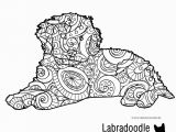 Pillow Pet Coloring Page Coloring Book